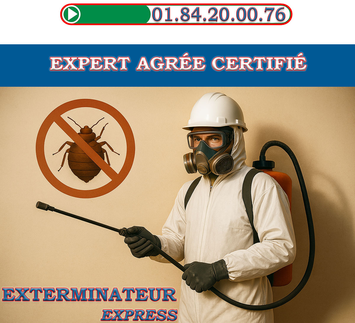 Punaises de Lit Ivry sur Seine